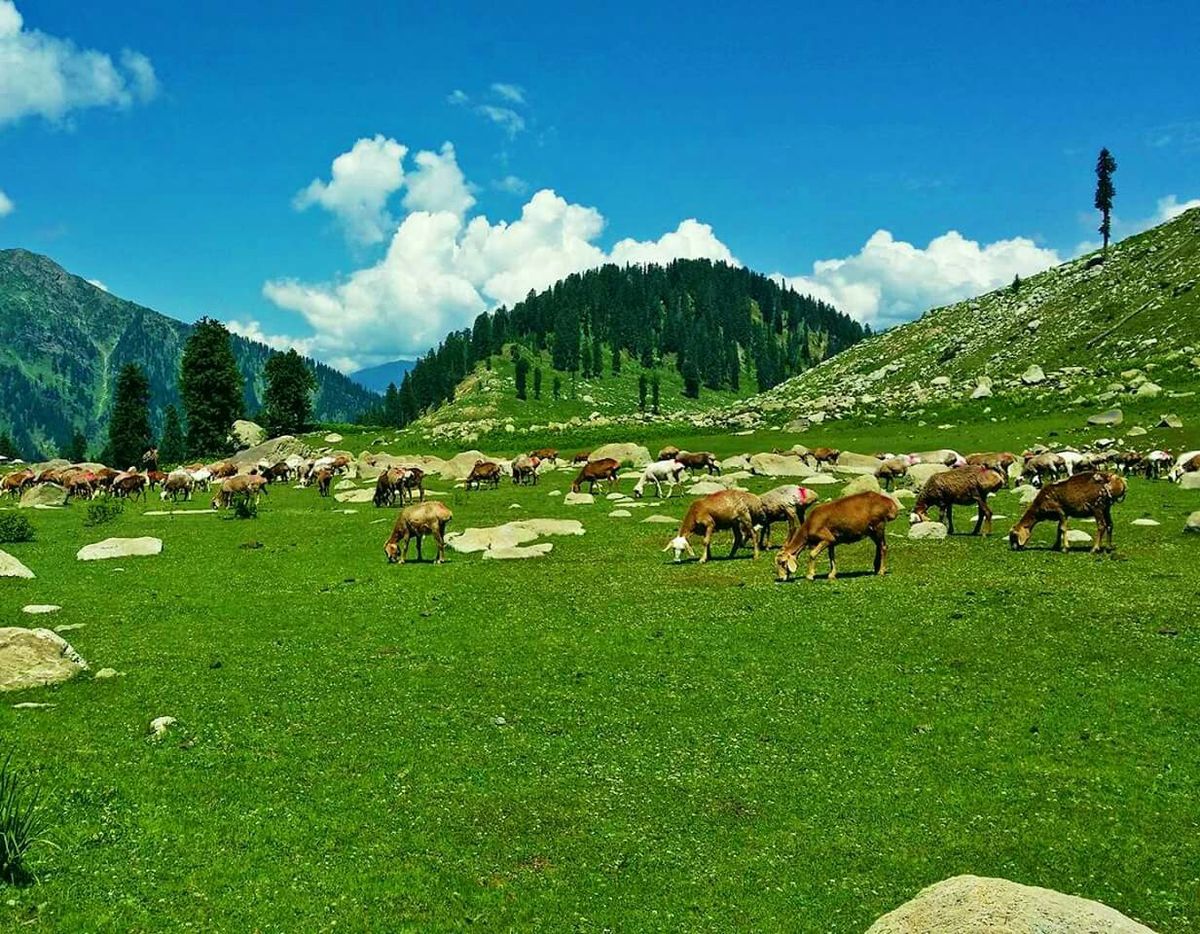 Jahaz Banda Meadows & Katora Lake Trek - Upper Dir & Kumrat Tour