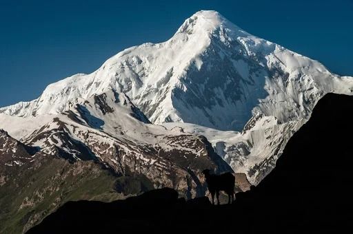 Diran Peak Base Camp Trek