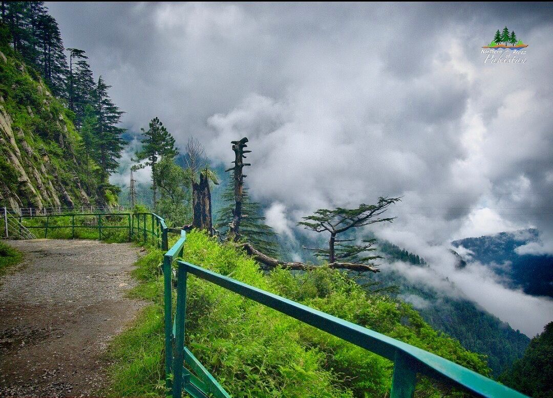 Galyat Hills, Pipeline Track & Nathia Gali Resort - Galyat, Hazara Tour