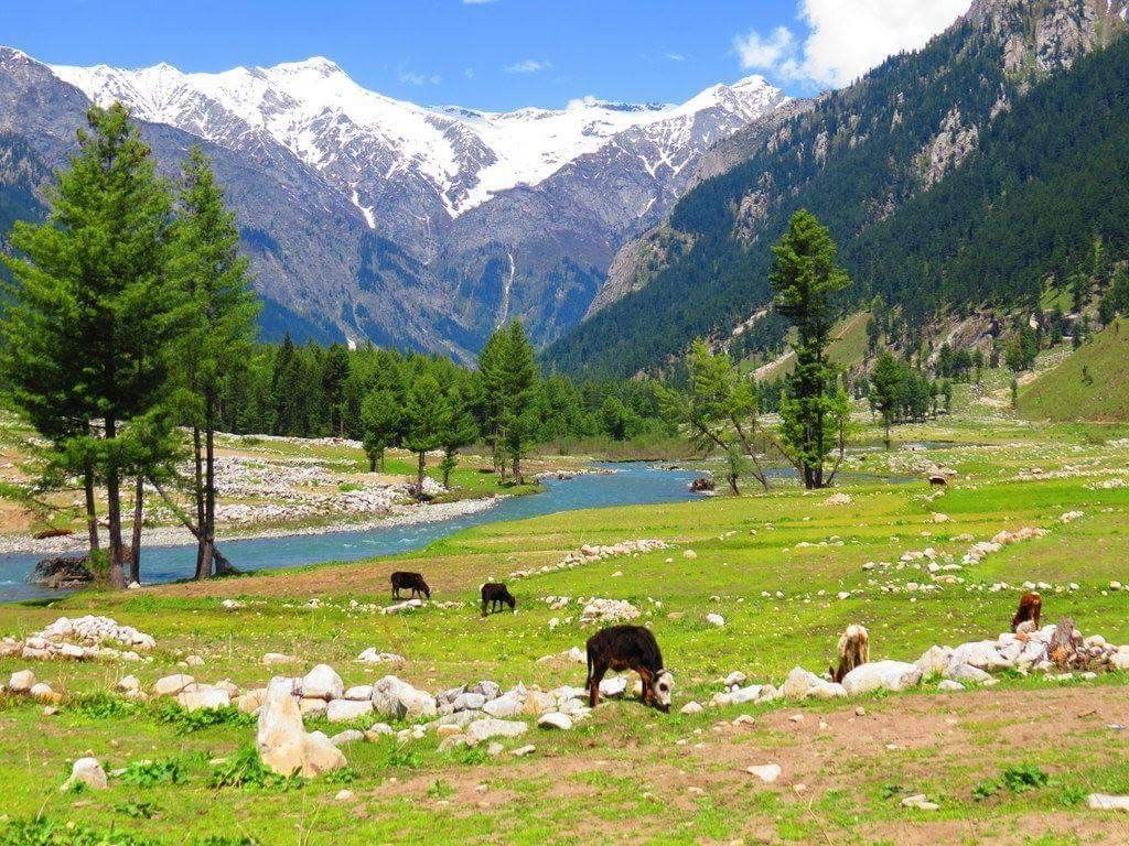 Kumrat Valley & Panjkora River Cedar Wilderness - Upper Dir Tour