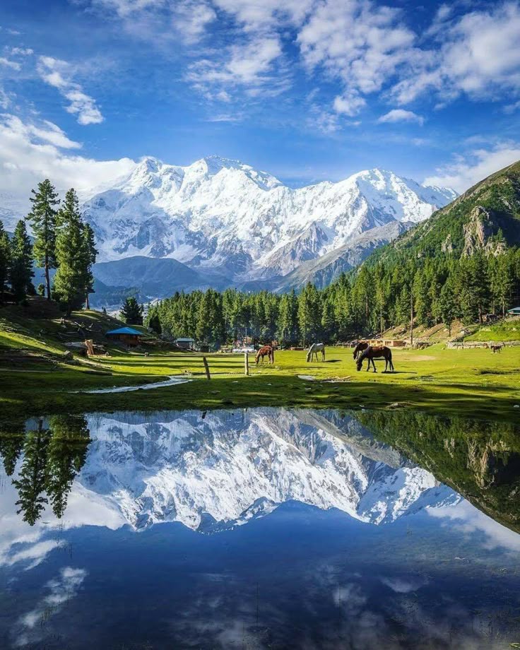 Fairy Meadows & Nanga Parbat Base Camp - Diamer & Nanga Parbat Tour