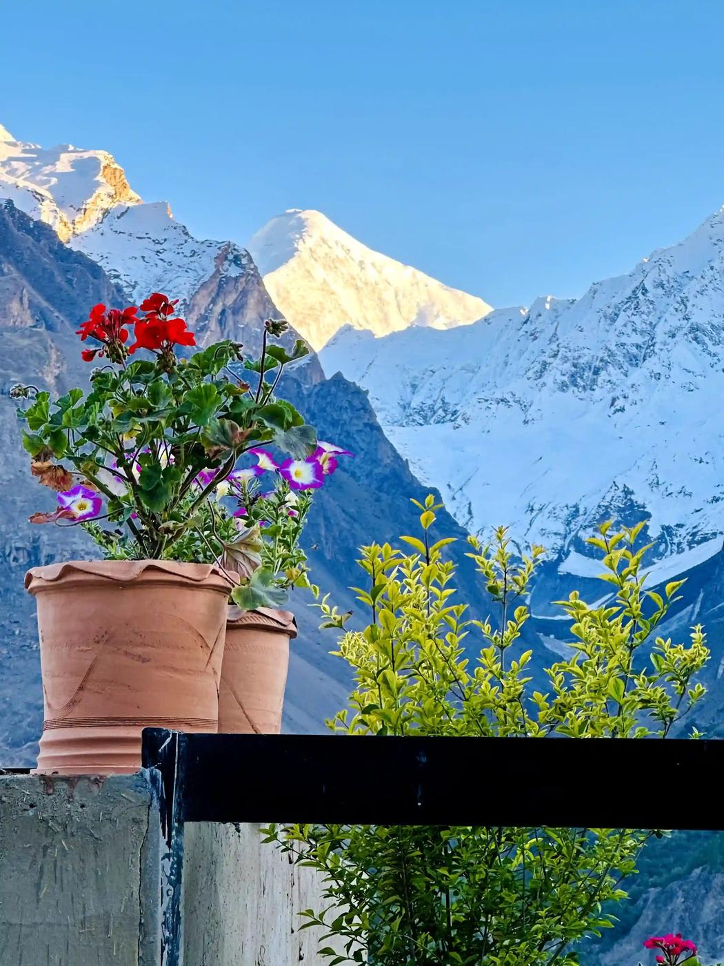 Old Hunza Adventures expedition photo 62 — Pakistan Karakoram mountains, treks and culture